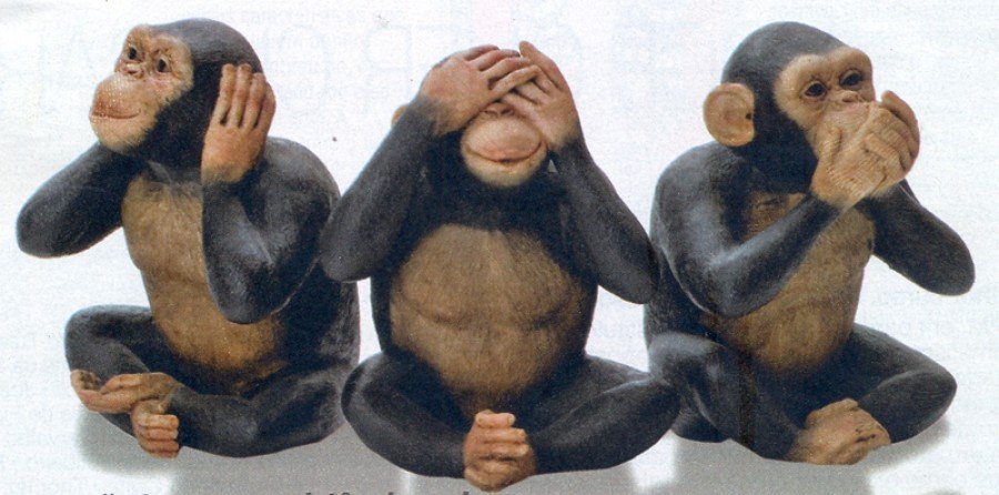 3 simios