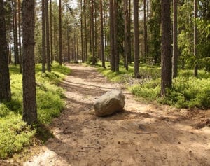 pedra