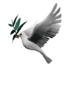doveanimated2