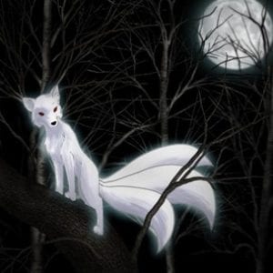 raposa
