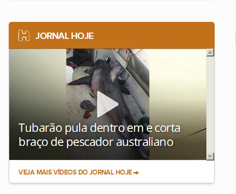 g1.jpg- COM CORTE