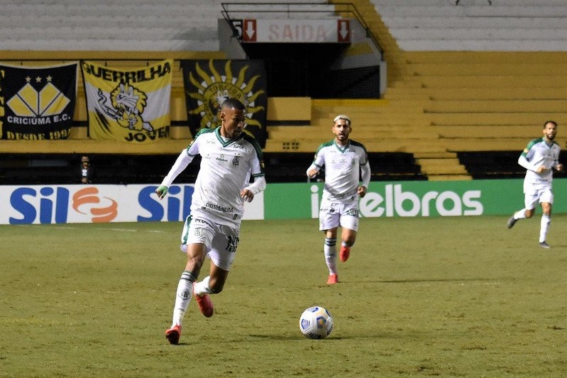 campeões (palmeiras)