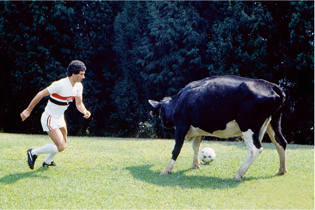 o drible da vaca