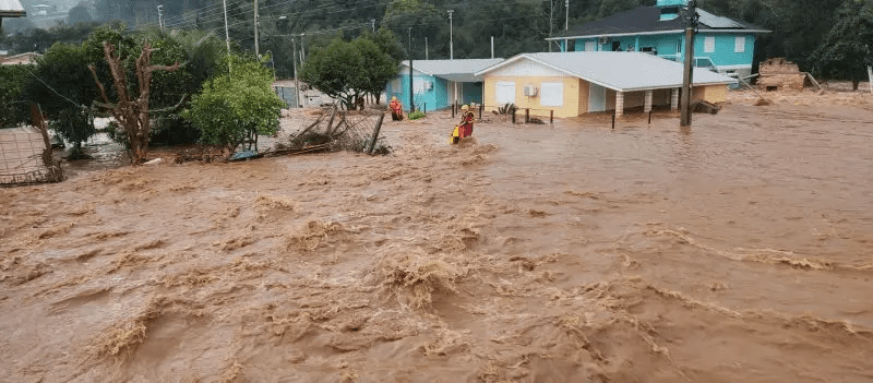 a lição e a dor