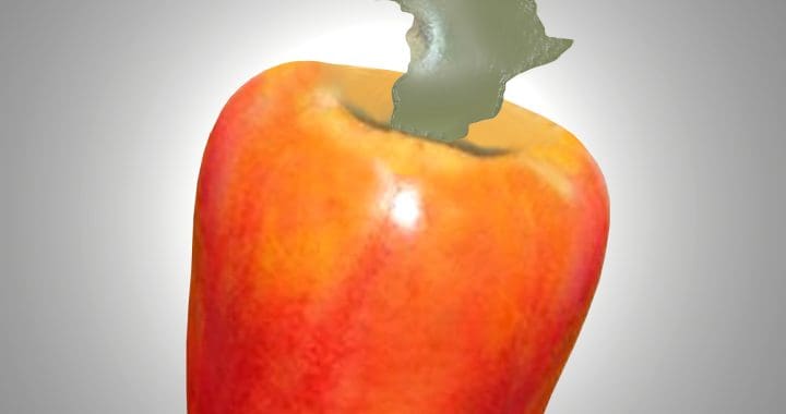 Cara a tapa, enganações e outras influências