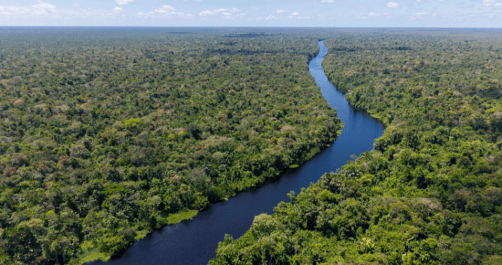 COP30 - Responsabilidade difusa