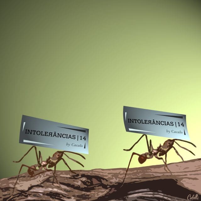 imaginação