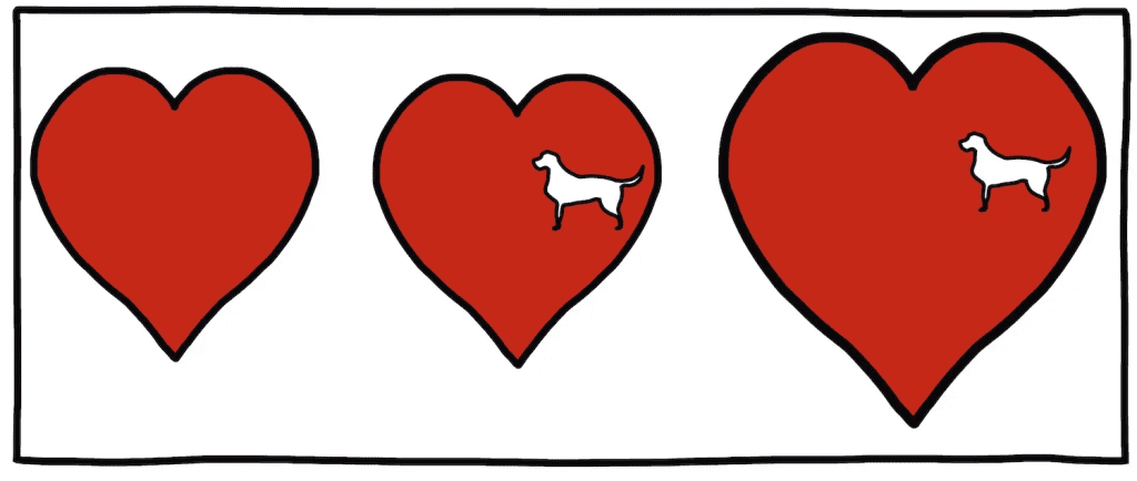 morte cão