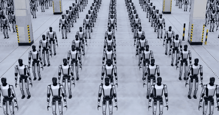 robô humanoide CHINA