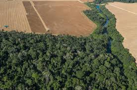 Especialistas discutem regulamentação do licenciamento ambiental no Brasil