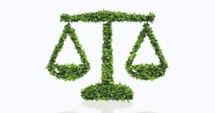 Especialistas licenciamento ambiental