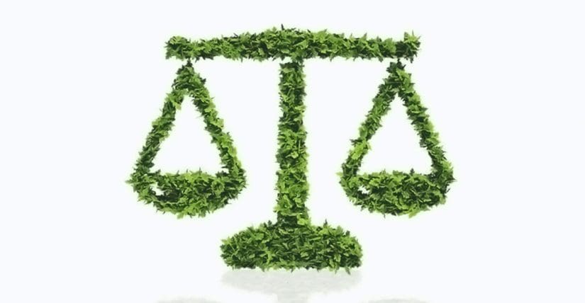 Especialistas licenciamento ambiental
