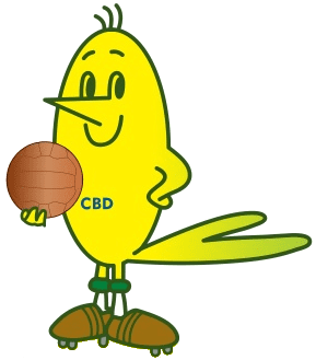 Copa goela abaixo
