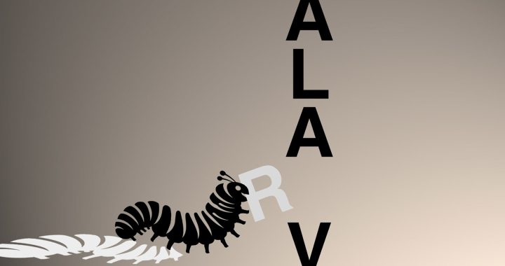 palavras